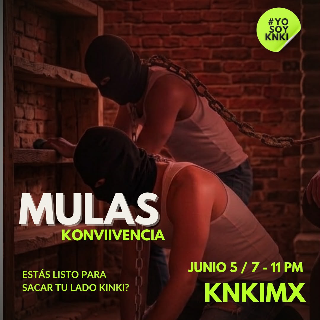 Mulas vs Sementales la Experiencia